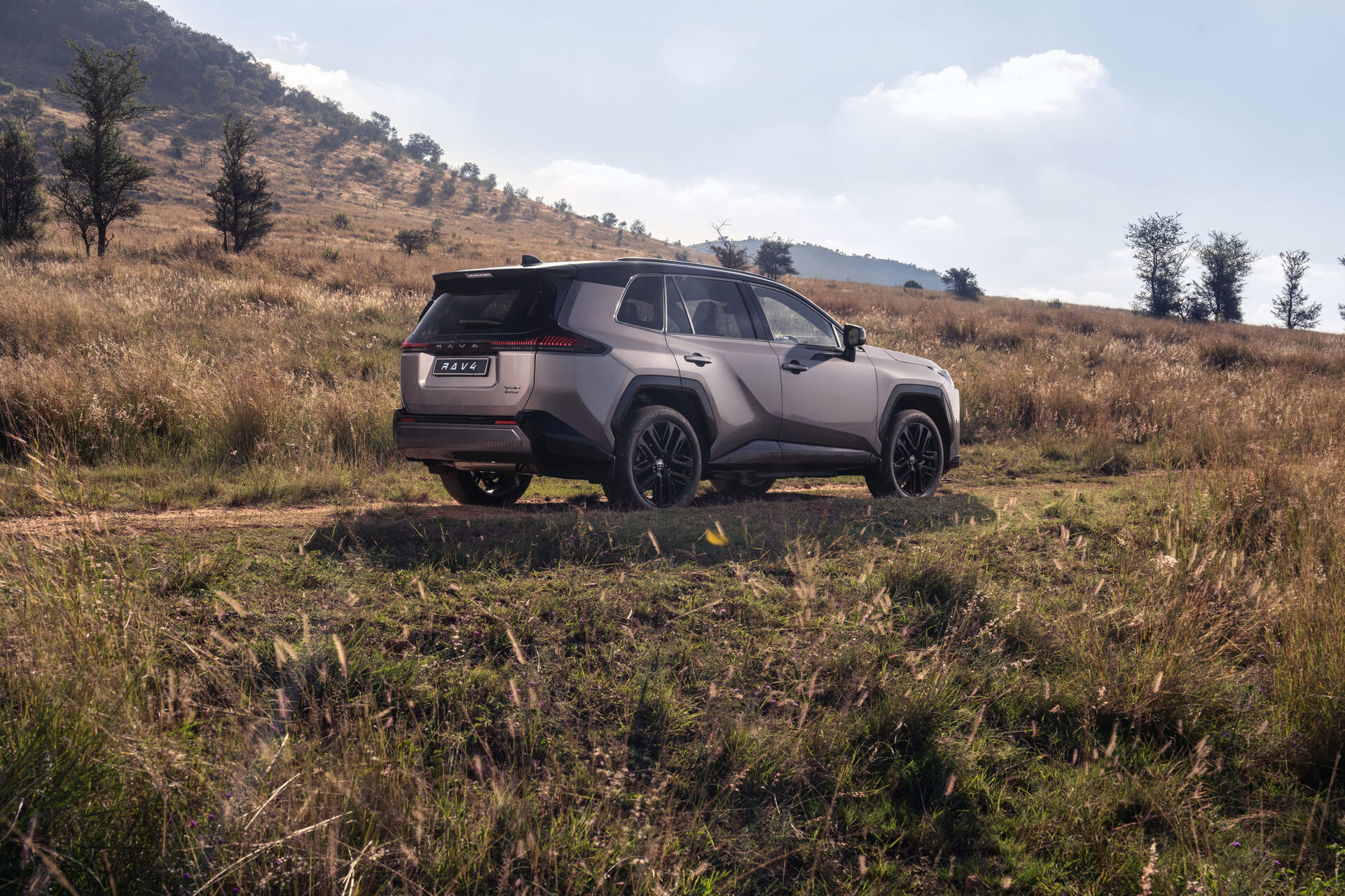 Toyota RAV4 exterior